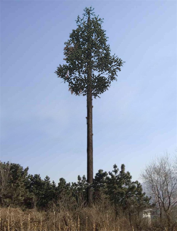 仿生樹(shù)通信塔