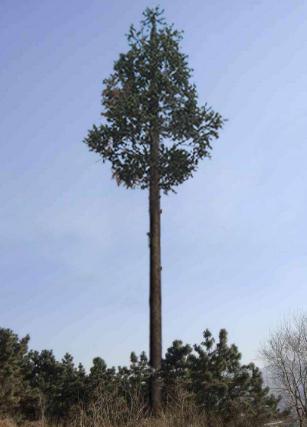 邢臺(tái)仿生樹避雷塔生產(chǎn)廠家