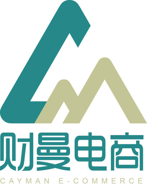 科技賦能與戰略驅動 網絡科技產品開發、銷售及企業服務綜合解析
